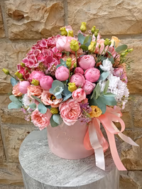 Blush Elegance